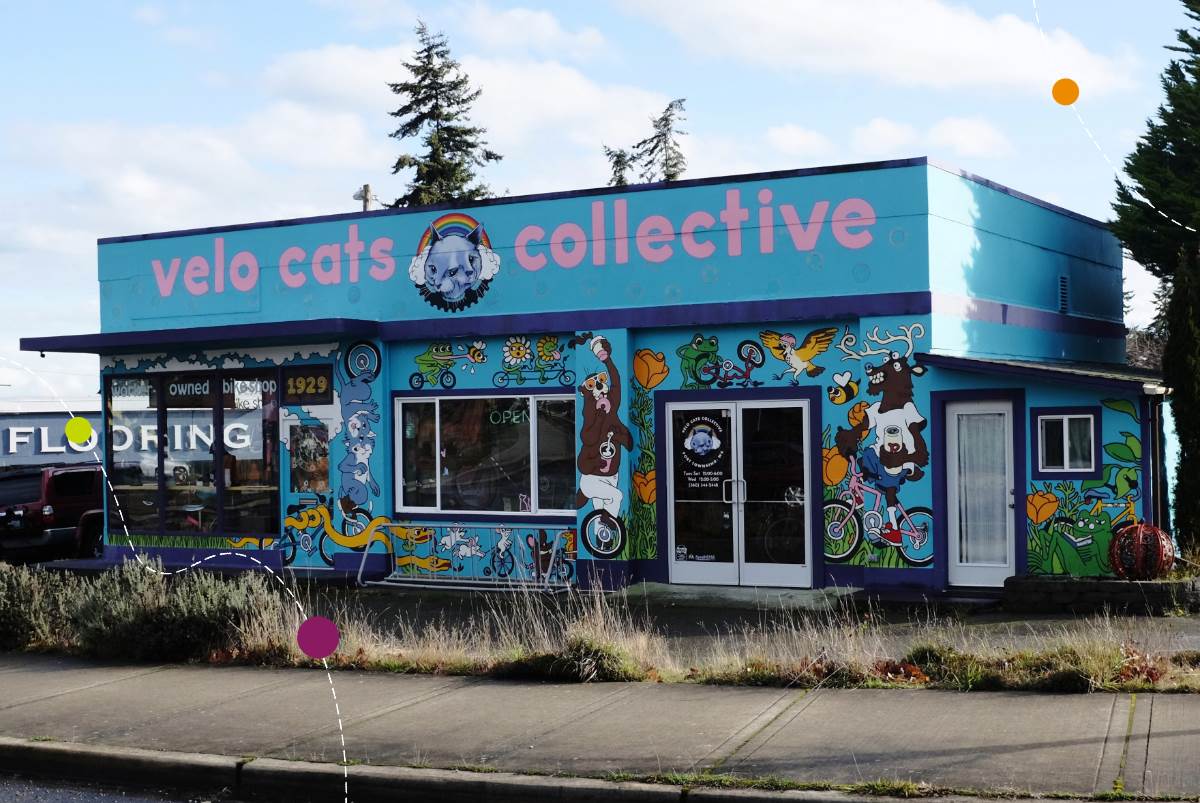 Velo Cats Collective Storefront
